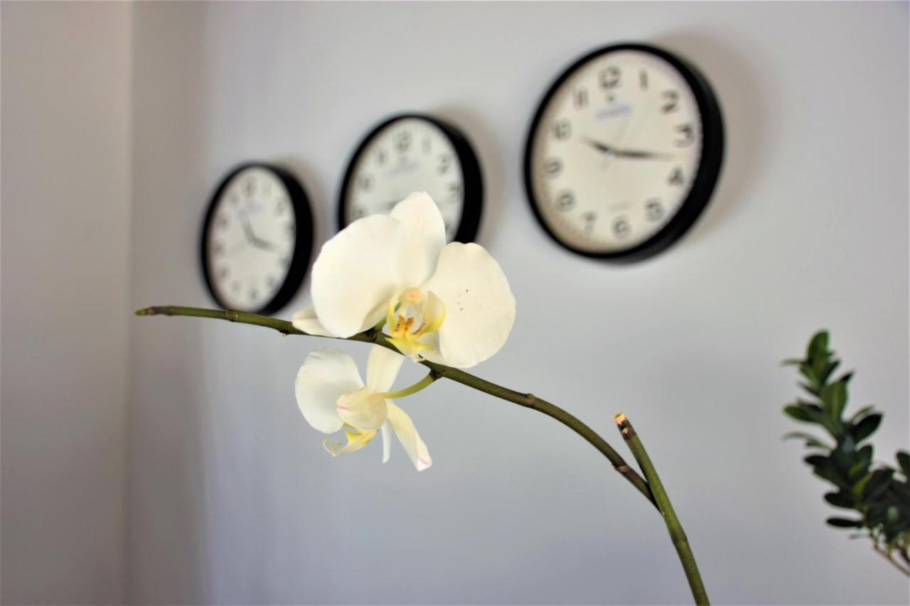 Modern Life Hotel Bodrum موجلا المظهر الخارجي الصورة
